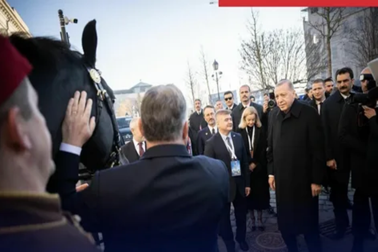 Ərdoğana  Aristokrat adlı   at hədiyyə edildi