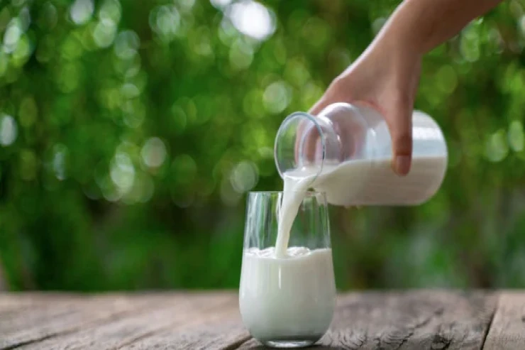 Süd sağlamlıq üçün risklər yaradır – ARAŞDIRMA 