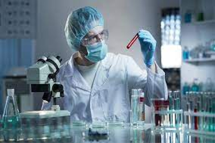 Laboratoriyada yetişdirilən qəhvəni təbiisindən nə fərqləndirir? - ARAŞDIRMA 