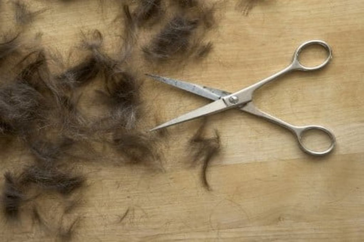 Qısqanc kişi  arvadının saçını   qırxdı: Videonu dostlarına göndərdi