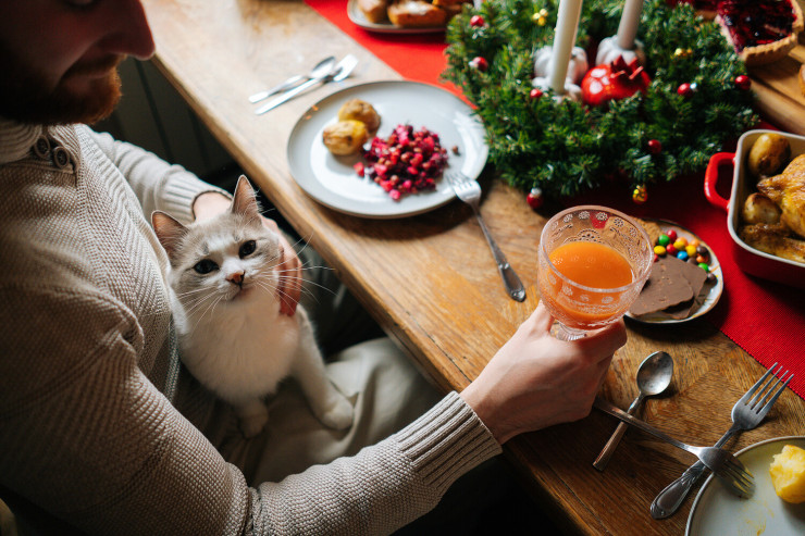 Dietoloqdan Yeni il üçün MƏSLƏHƏTLƏR – Bunu etməyin  