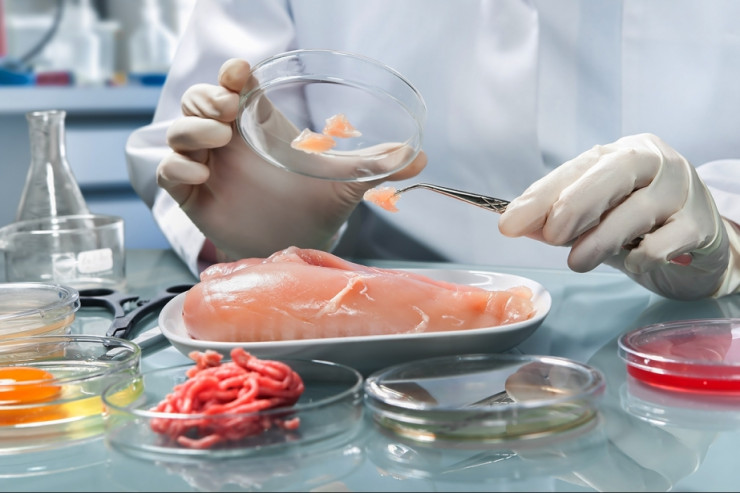 Bu da elektron dequstator 