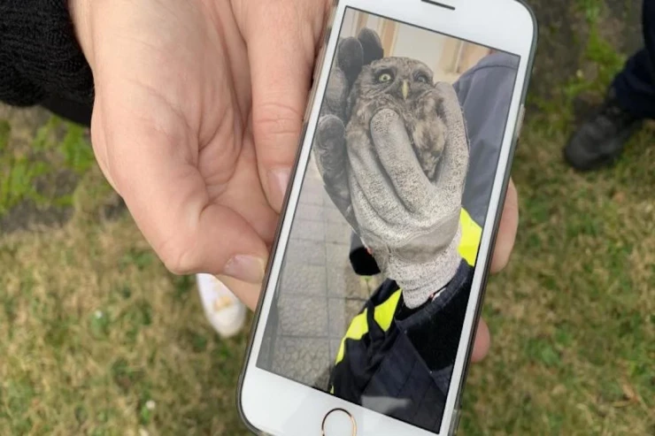 Yanğınsöndürənlər bu dəfə BAYQUŞU   xilas etdilər