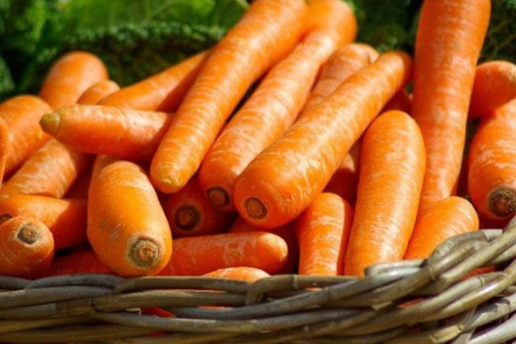 Yerkökünün bilmədiyimiz 5 əsas faydası 