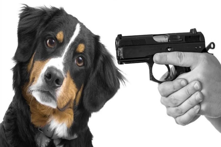 Azərbaycanda DƏHŞƏT:  İtini öldürüb, özünü güllələmək istədi