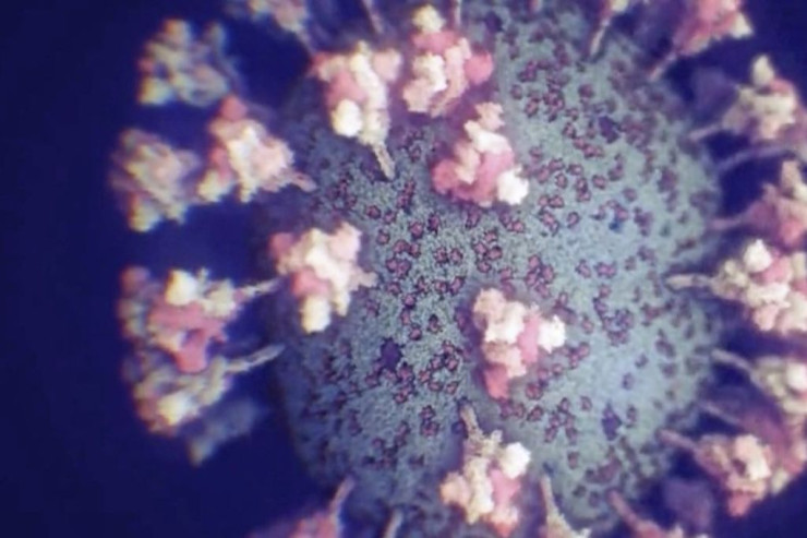 Koronavirusdan  ölənlər var   - SON STATİSTİKA