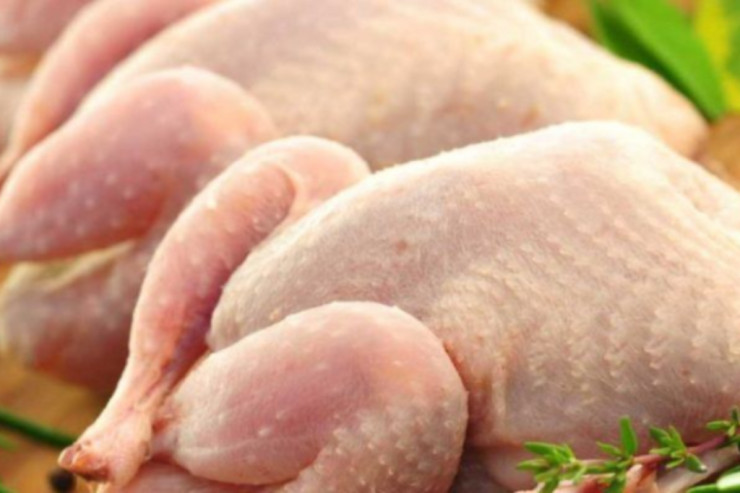 Marketlərdə satılan TƏHLÜKƏ  – Broyler toyuqlar xərçəng yaradır – MÜTƏXƏSSİS DANIŞDI 