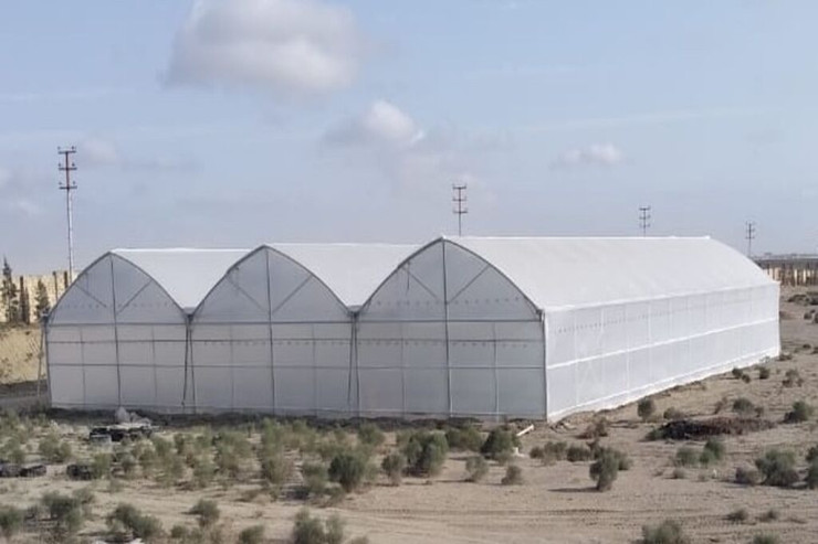 Bakıda kişi "parnik"də  özünü asdı