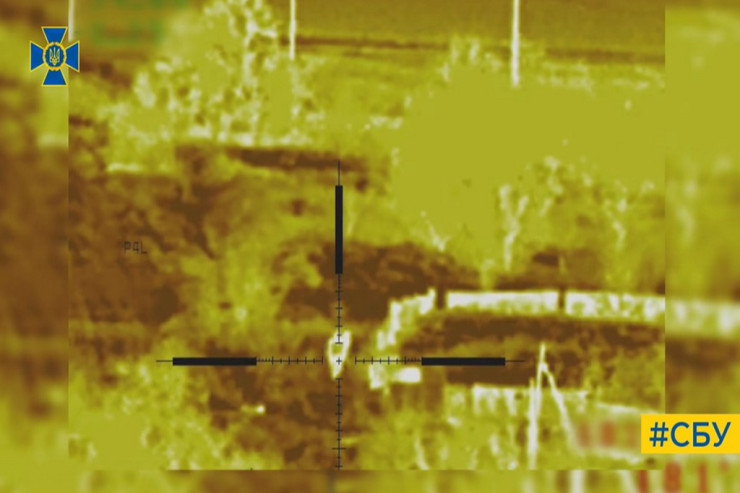 Ukraynada dovşanlar Rusiya hərbçilərinin məhvinə kömək etdi -  VİDEO 