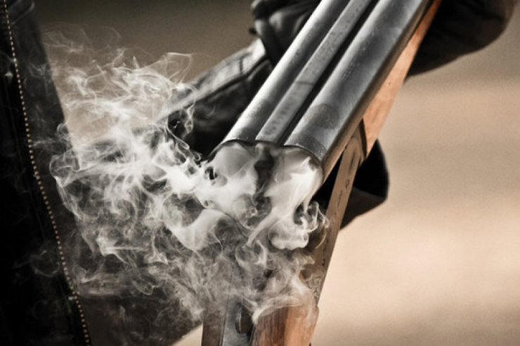 Evlərdə saxlanılan 7 silah aşkarlandı