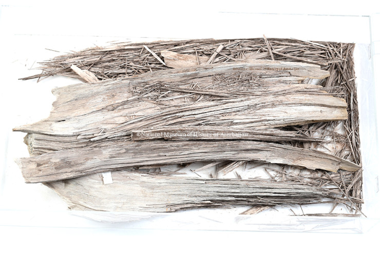 25 milyon illik muzey eksponatı – AZƏRBAYCANDA  