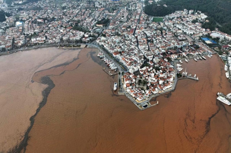 Dənizin suyu bir anda qəhvəyi oldu