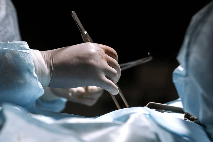 İt yeniyetmənin  BURNUNU DİŞLƏDİ 