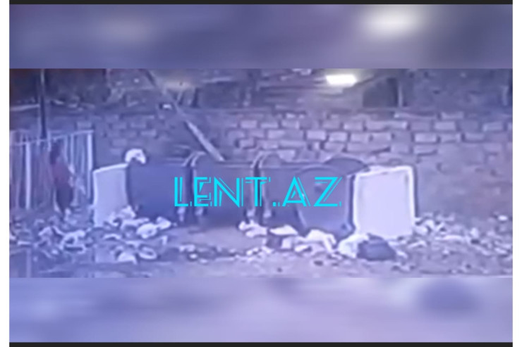 Bakıda ana körpəsini zibil qutusuna belə atdı - ŞOK VİDEO 