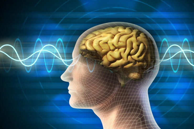 Bu vərdişlər  beyin xəstəliklərini   sürətləndirir