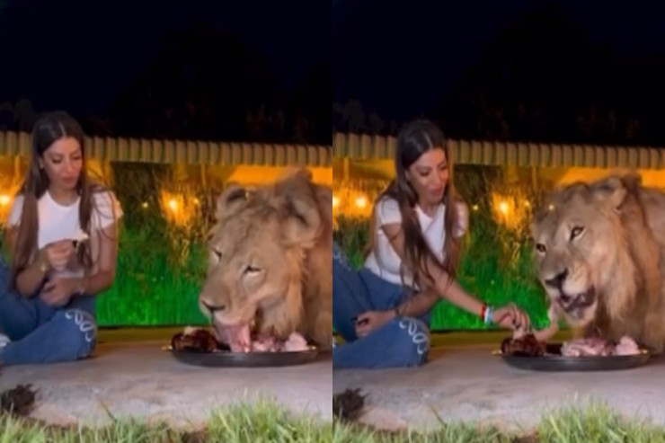  Qadın şirlə   yemək yedi – Hər kəs qorxuya düşdü - VİDEO 