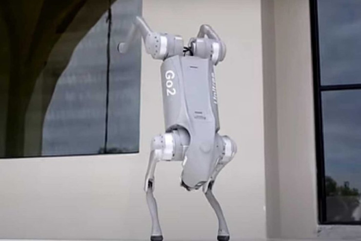 Rəqs edən  robot it   yaradıldı