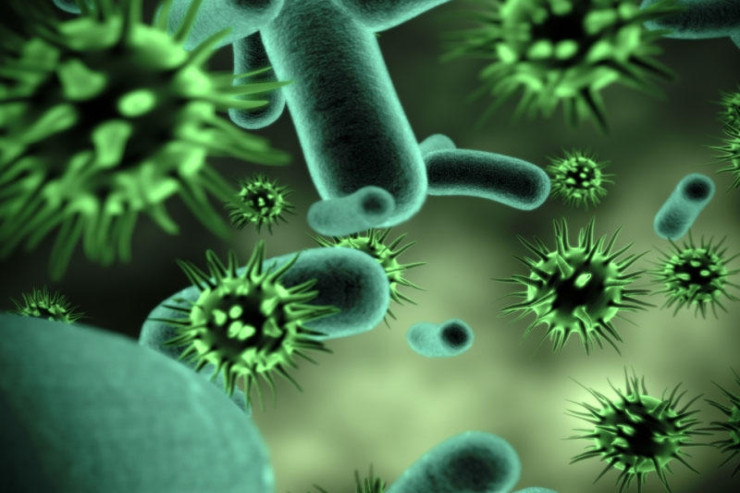 Bu da plastiklə qidalanan bakteriya 