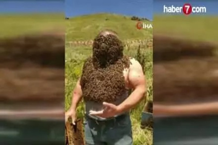  Qafqaz arıları   ilə ŞOU -  VİDEO 