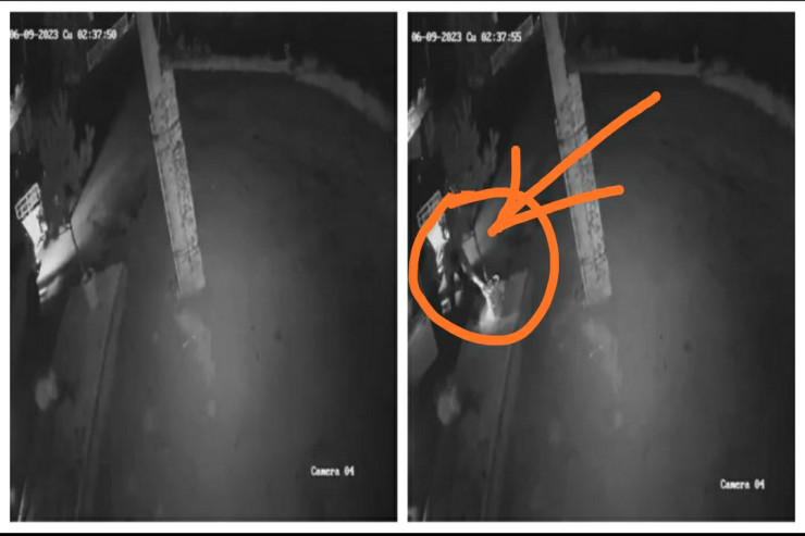 Zaqatalada vedrə oğrusu kameralara düşdü - VİDEO 