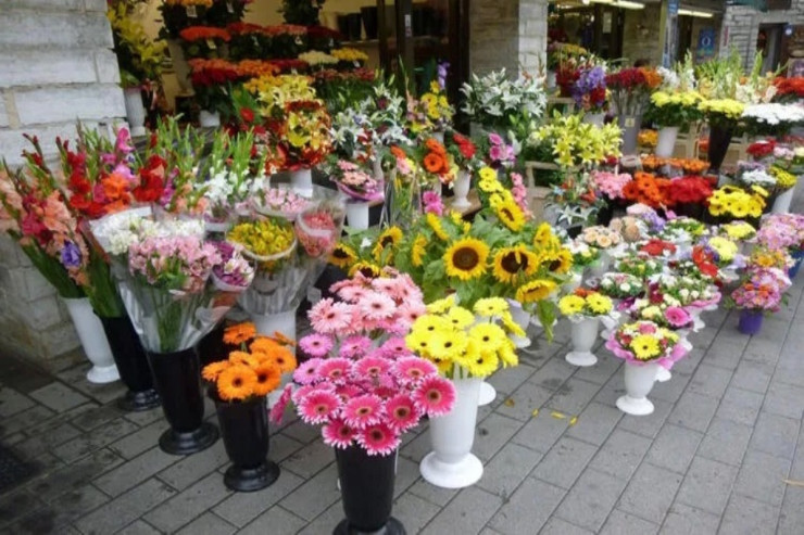  Doğum ayına   görə öz çiçəyinizi tapa bilərsiniz - FOTO 