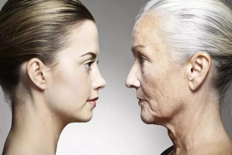 Qocalmağı dayandırmağın yolu tapıldı