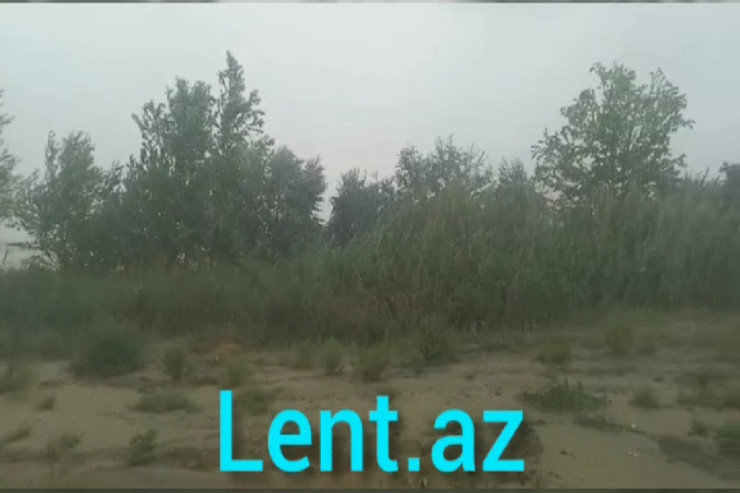 Kürdəmirə leysan yağdı:  nəqliyyatın hərəkəti dayandı - VİDEO 