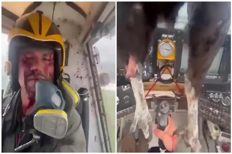 Nəhəng quş təyyarənin  ön şüşəsinə   çırpıldı: Pilot özünü itirmədi -  VİDEO 