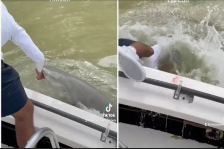 Balıqçının  uğurlu ovu   onun FACİƏSİ ilə nəticələndi -  VİDEO 