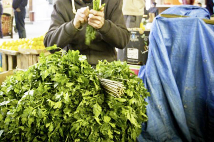 Paşinyanın deputatı göyərti satanla  DALAŞDI  