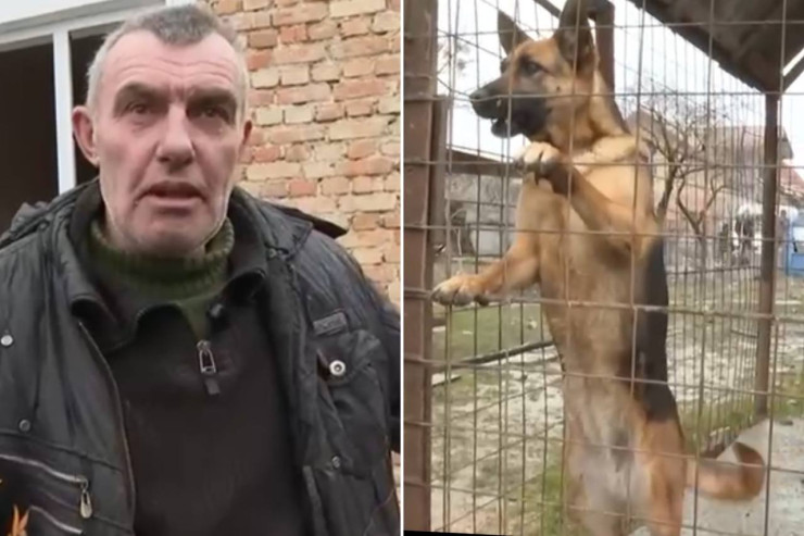 İt sahibini raket zərbəsindən  qorudu  - VİDEO 