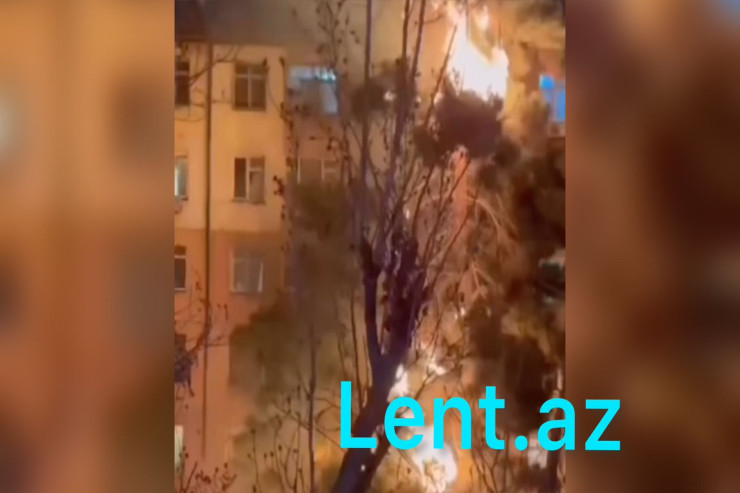 Bakıda ağacın başında tonqal qaladılar - VİDEO 