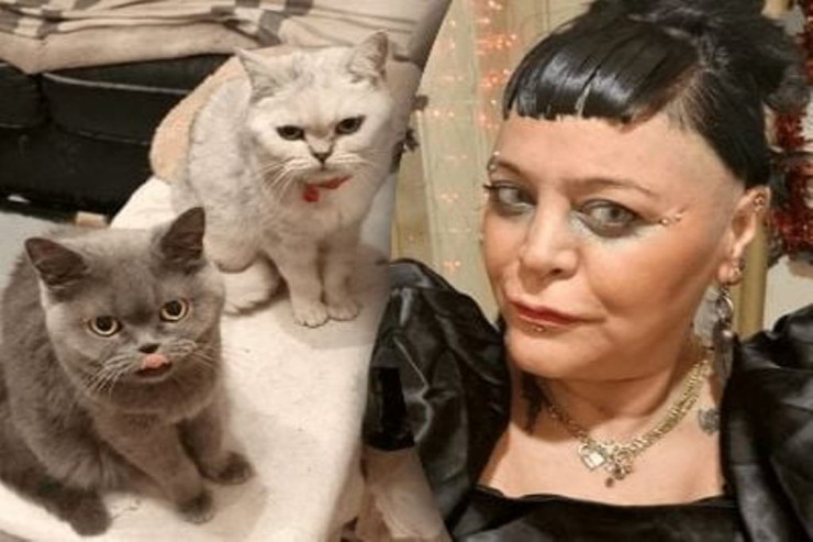 Pişiklərinə yemək almaq üçün həftədə bir dəfə QİDALANIR 