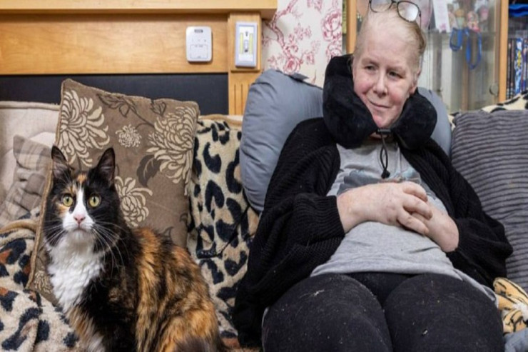 Pişik möcüzəvi şəkildə diabet olan sahibini  komadan xilas etdi 