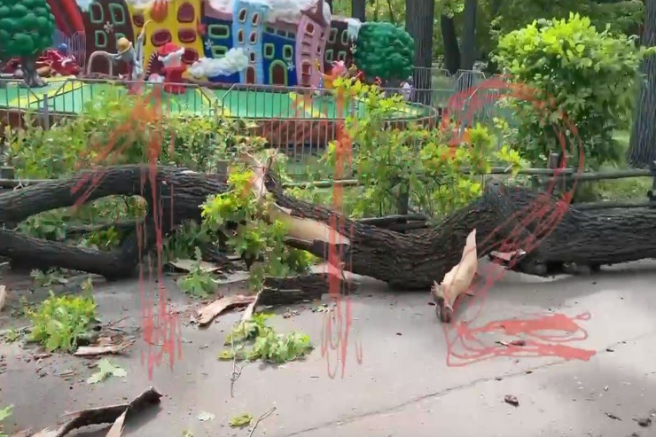 Parkda ağac aşıb 2 nəfəri öldürdü - VİDEO 