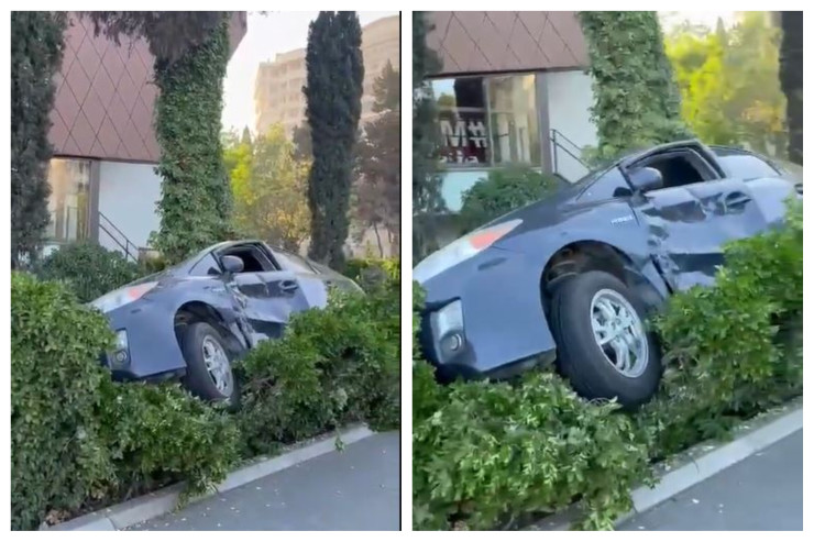 Bakıda "Prius" ağaca dırmaşdı - VİDEO 
