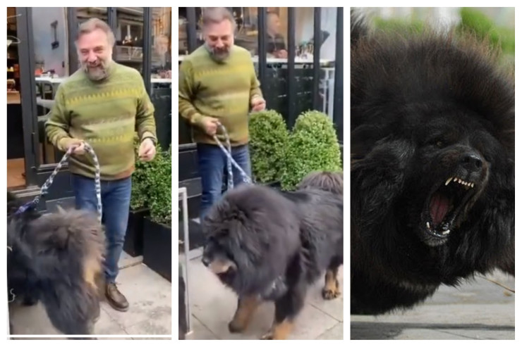 Oktay Kaynarca  qorxulu iti   ilə küçədə