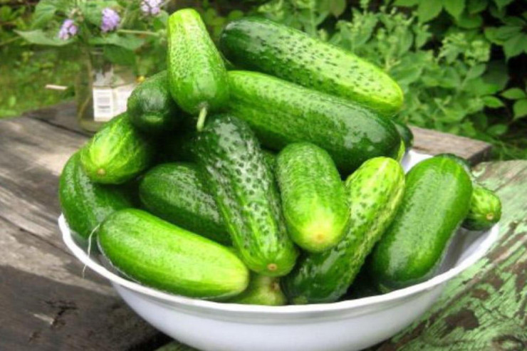  Saralmış xiyarı   atmayın: Bu cür istifadə edin