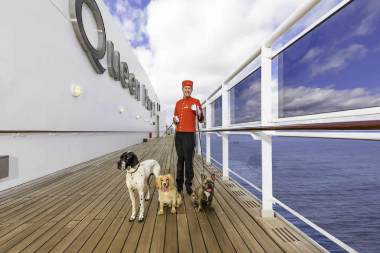 Pişiklər üçün  kruiz marşrutu 