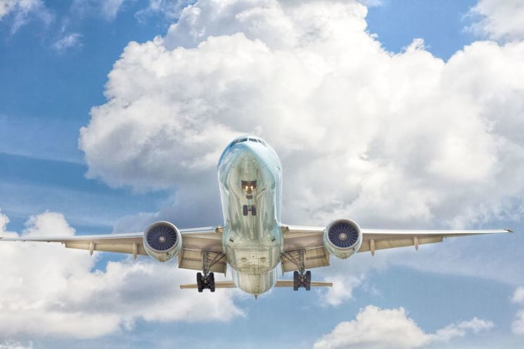 Sərxoş qadın təyyarədə qonşusu ilə cinsi əlaqədə oldu 