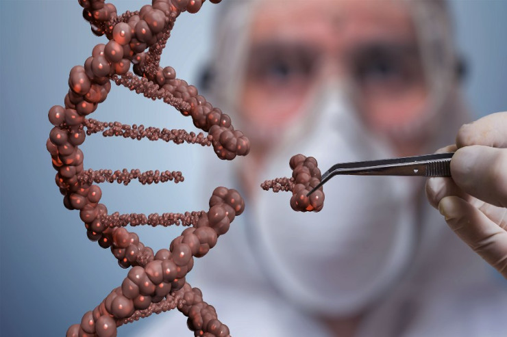 Bu meyvə  sonsuzluğa   səbəb olur 