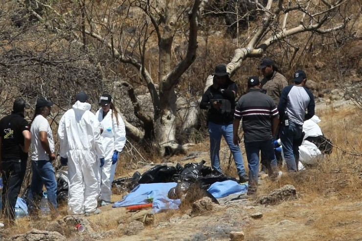 Zibillikdə məzarlıq aşkarlandı