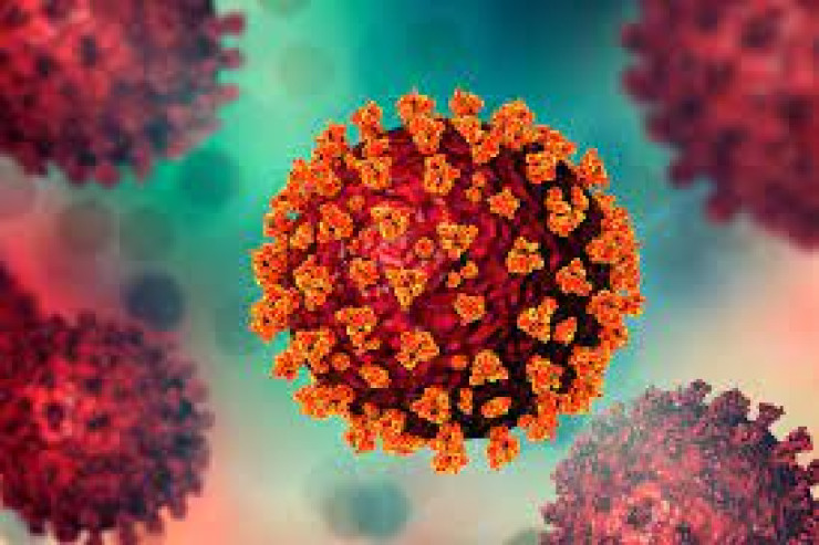 Azərbaycanda COVID-dən 5 nəfər öldü - SON STATİSTİKA 