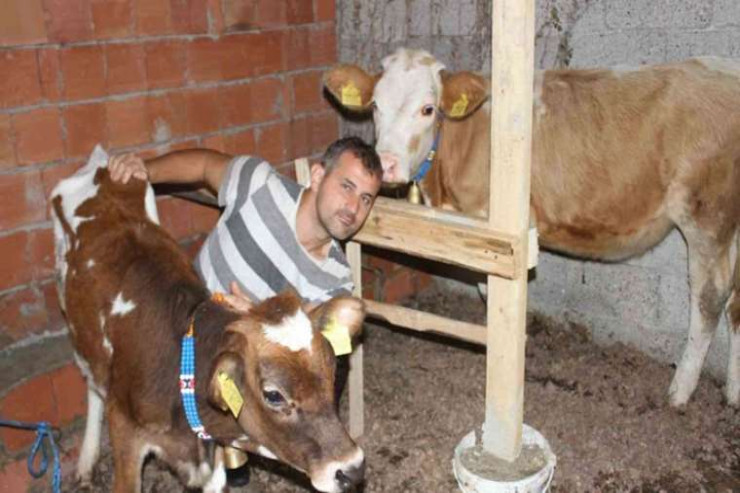 Buzovlarına  dünya liderlərinin   adını verdi: "İkiüzlü olana Bayden dedim"