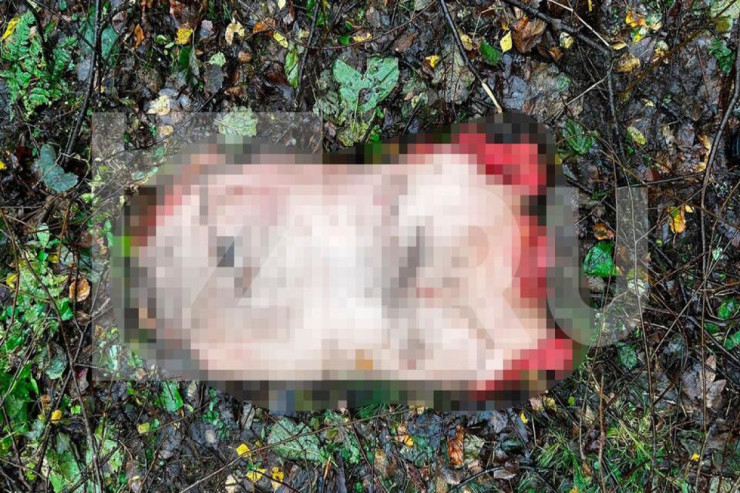 Ata oğlunu öldürüb, meyitini parçaladı 