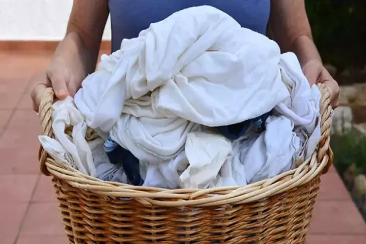 Qonşuları qısqandıran  ağ paltarlar: 1 çimdik yetərlidir