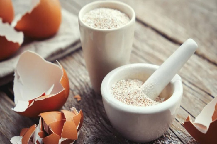 Qadınlar niyə hər gün  yumurta qabığı   yeməlidir? - AÇIQLAMA