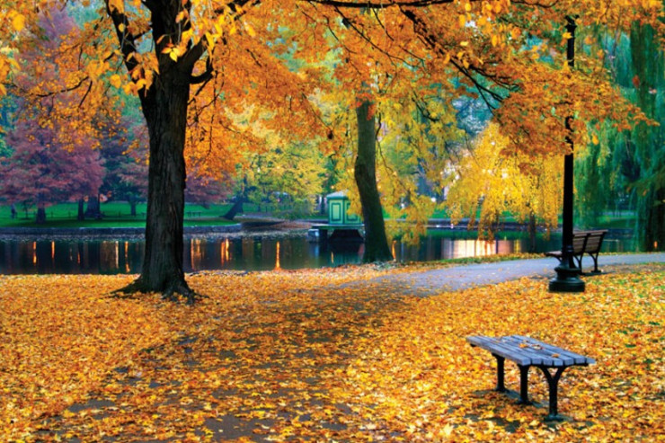  Payız fəsli   Azərbaycana bu tarixdə GƏLƏCƏK