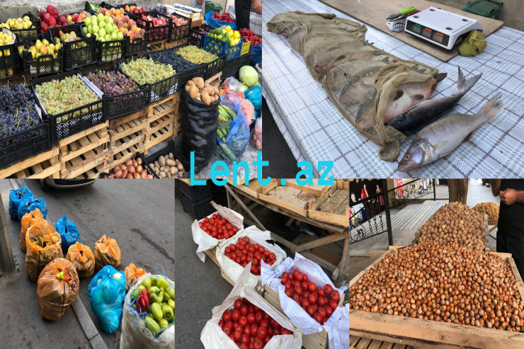 Ətrafı bürüyən balıq iyi, zəbt olunan səkilər - Pula, yoxsa sağlamlığa qənaət?  - REPORTAJ 