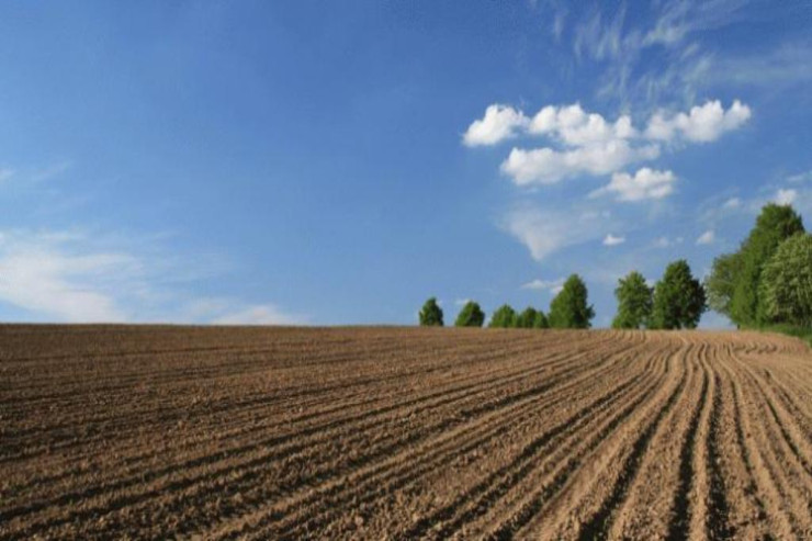 Əkin sahələri necə sığortalanır? - CAVAB 